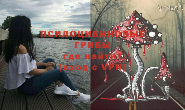 гидропоника Каменск-Шахтинский