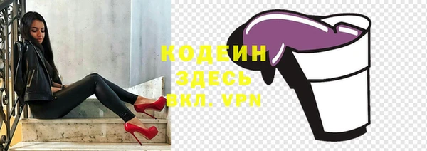 прущие грибы Каменка