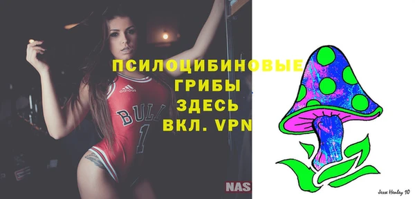 гидропоника Каменск-Шахтинский