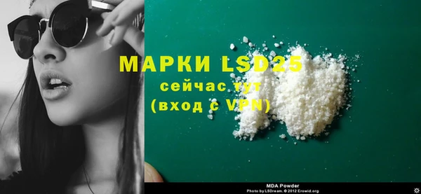 прущие грибы Каменка