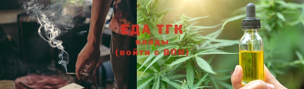 прущие грибы Каменка