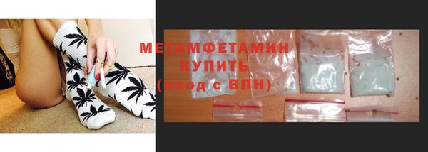 прущие грибы Каменка