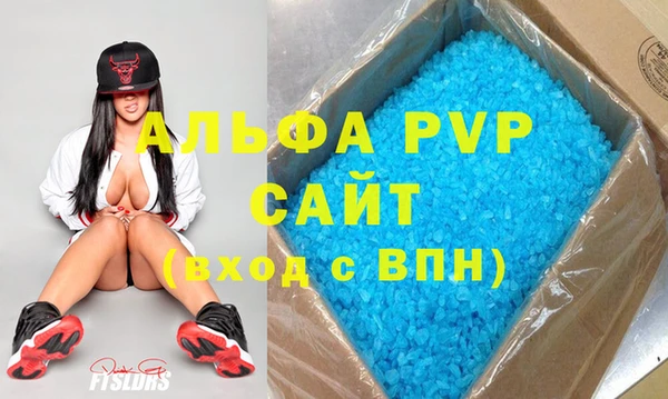 прущие грибы Каменка