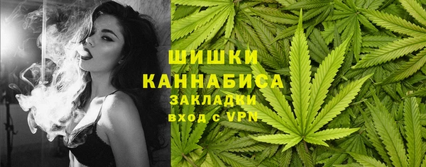 прущие грибы Каменка