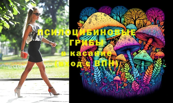 гидропоника Каменск-Шахтинский