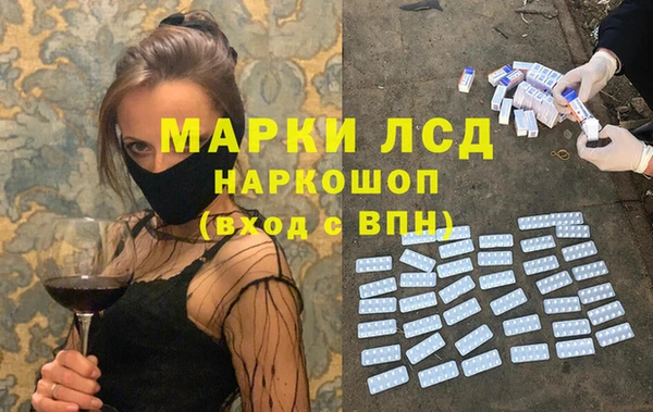 прущие грибы Каменка