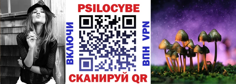 Купить где  Выборг  Галлюциногенные грибы MAGIC MUSHROOMS 