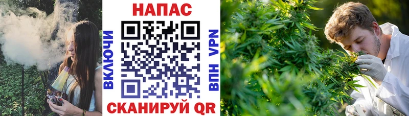 Бошки марихуана Bruce Banner  Купить где  Выборг 